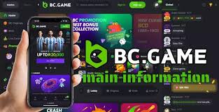 Understanding BC.Game KYC A Complete Guide Understanding BC.Game KYC A Complete Guide
