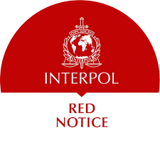 Understanding the Role of Interpol Defense Lawyers 1346280113 Understanding the Role of Interpol Defense Lawyers 1346280113