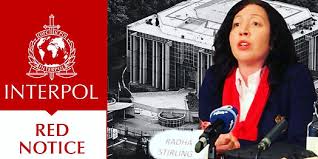 Understanding the Role of Interpol Defense Lawyers 1346280113 Understanding the Role of Interpol Defense Lawyers 1346280113